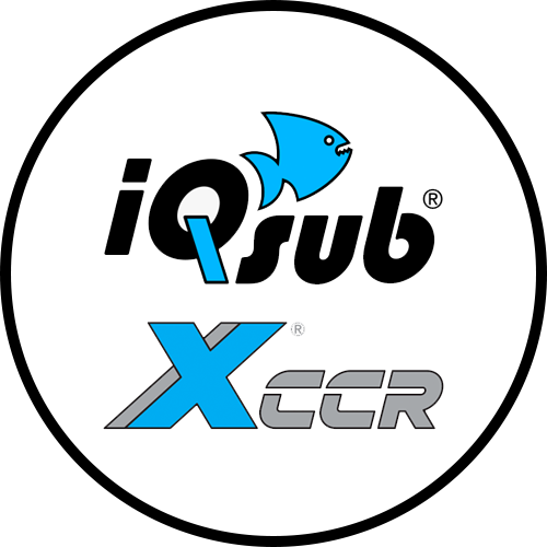 iQsub X-CCR